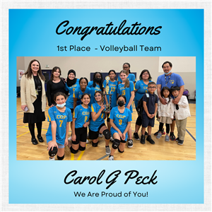 Championship Volleyball - Carol G Peck